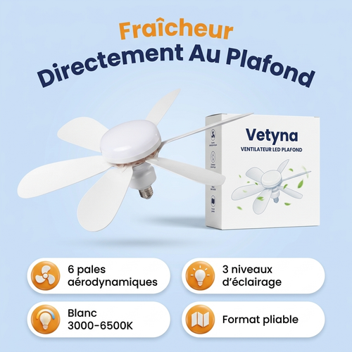 Ventilateur de plafond